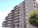 総武本線/四街道駅 徒歩7分 6階 築29年の外観