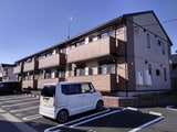 クルクマ・シャローム