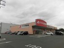 クスリのアオキ四街道千代田店(ドラッグストア)まで53m 総武本線/物井駅 徒歩21分 1階 築31年