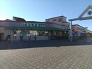 スーパーチェーンカワグチ志津店(スーパー)まで1748m 京成本線/志津駅 徒歩7分 1階 築15年