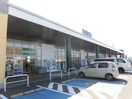 ドラッグセイムスもねの里モール店(ドラッグストア)まで1087m 総武本線/物井駅 徒歩6分 1階 築29年