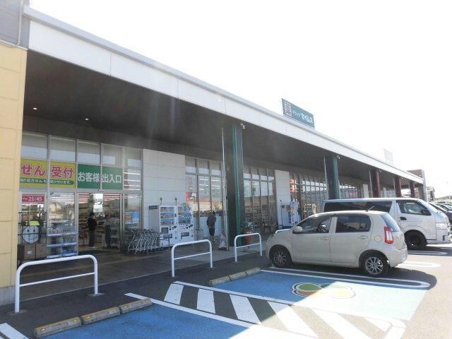 ドラッグセイムスもねの里モール店(ドラッグストア)まで1087m 総武本線/物井駅 徒歩6分 1階 築29年