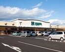 ハピーズ円山店(スーパー)まで934m ヴィラ　ハルモニア