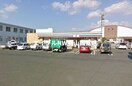 セブンイレブン岡山芳明小前店(コンビニ)まで291m 宇野線<宇野みなと線>/備前西市駅 徒歩10分 1階 築9年