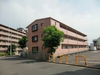 パル81