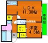 ドゥミュミュール 1LDKの間取り
