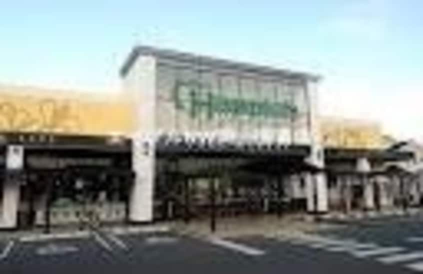 ハピッシュ国府市場店(スーパー)まで1637m エスポアール中井