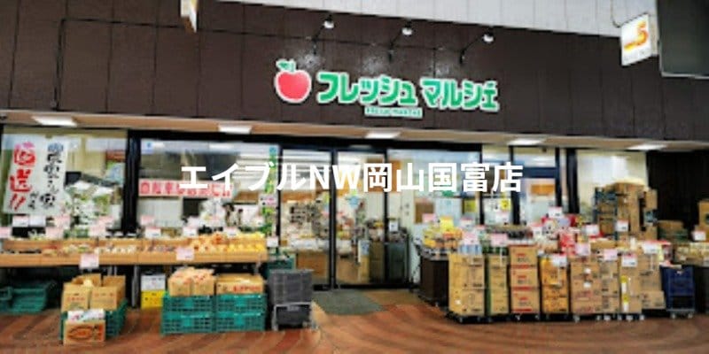 フレッシュワン3丁目店(スーパー)まで486m 山陽本線（中国）/岡山駅 徒歩17分 5階 築1年