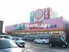 スーパードラッグひまわり東岡山店(ドラッグストア)まで1549m ファルファレエストＡ