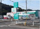 ドラッグセガミ城東店(ドラッグストア)まで421m サンフォレスタ上道