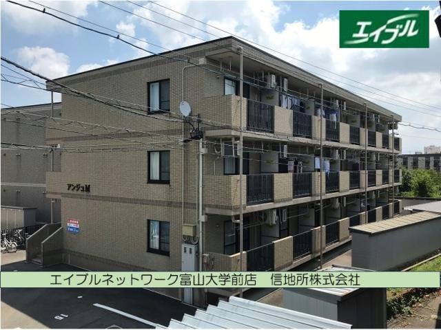  アンジュM