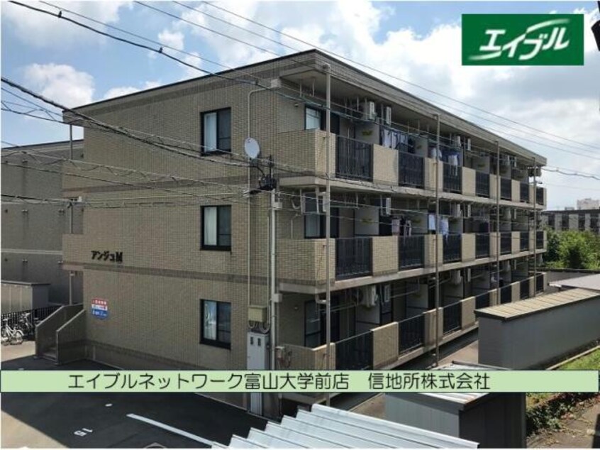 アンジュM