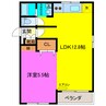 メゾンドゥ天翔 1LDKの間取り