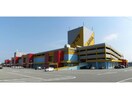 アピタ富山東店(ショッピングセンター/アウトレットモール)まで250m メゾンドゥ天翔