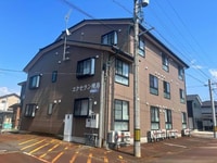 エクセラン飛鳥