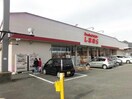 ファッションセンターしまむら八日市店(ショッピングセンター/アウトレットモール)まで596m 日光ハイツ八日市壱番館