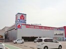ヤマダ電機テックランド東近江店(電気量販店/ホームセンター)まで1683m ハイツレタス壱番館
