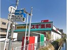 スギ薬局近江八幡駅前店(ドラッグストア)まで848m プレアール近江八幡