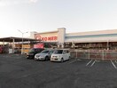 コメリホームセンター八日市店(電気量販店/ホームセンター)まで2309m メゾン・ド・ソレイユ