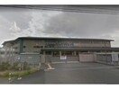 東近江市立船岡中学校(中学校/中等教育学校)まで1445m メゾン・ド・ソレイユ