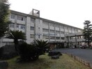 滋賀県立八日市南高校(高等学校/高等専門学校)まで657m ラルジュ