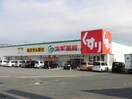 スギ薬局八日市店(ドラッグストア)まで907m グリーンパレスⅡ号館