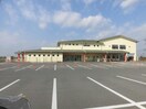 東近江市立わかば幼児園(幼稚園/保育園)まで1205m フォレストインサイドⅢ