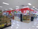 サンドラッグ愛知川店(ドラッグストア)まで1025m いづみニューハイツ