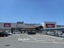 バロー八日市店(スーパー)まで2178m カーサパステロ