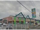 フレンドマート五個荘店(スーパー)まで2252m カルフール