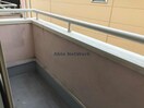  スモールフォレスト