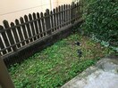  スモールフォレスト
