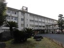 滋賀県立八日市南高校(高等学校/高等専門学校)まで1186m メープルコート東沖野