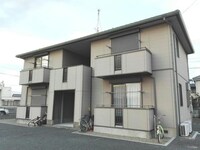 アプリコット