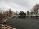 東近江市立聖徳中学校(中学校/中等教育学校)まで1024m プラシード沖野