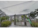 近江八幡市立八幡小学校(小学校)まで1418m フラワー１番館