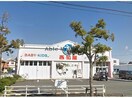 西松屋近江八幡店(ショッピングセンター/アウトレットモール)まで435m 鷹飼アパート