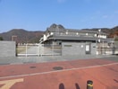 東近江市立箕作小学校(小学校)まで1394m comfort西中野