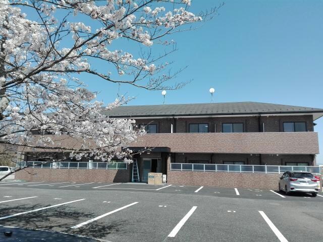 敷地内に桜があります HEART桜館