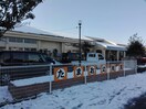 東近江市立玉緒幼稚園(幼稚園/保育園)まで1014m Paradisco