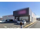 ディスカウントドラッグコスモス愛知川店(ドラッグストア)まで1499m プロムナード　かけはし