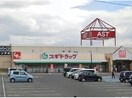 スギドラッグ豊郷店(ドラッグストア)まで2173m 向日葵邸一軒家O棟