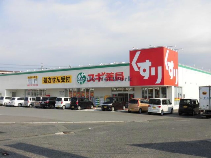 スギ薬局八日市店(ドラッグストア)まで389m エテルノ大成　H&Z