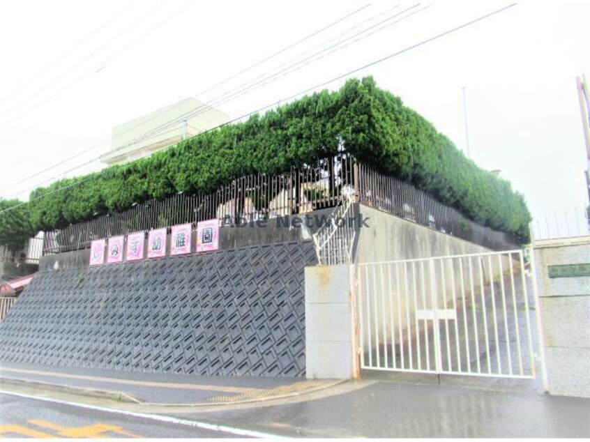 英明幼稚園諫早(幼稚園/保育園)まで335m ロイヤルガーデン白岩　A棟