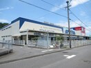 ホームプラザナフコ諫早店(電気量販店/ホームセンター)まで483m リベルタＮＡＫＡＺＡＴＯ