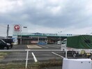 コメリハード＆グリーン愛野店(電気量販店/ホームセンター)まで1737m 島原鉄道バス（島原市）/テクノパーク前 徒歩20分 2階 築16年