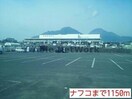 ホームプラザナフコ島原店(電気量販店/ホームセンター)まで813m 島原鉄道/島原駅 徒歩23分 2階 築13年