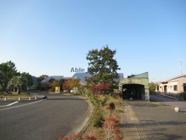 諫早市立たらみ図書館(図書館)まで1629m セジュールホワイトⅡ