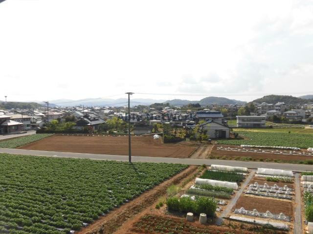 別部屋参考画像 コスモス　B棟