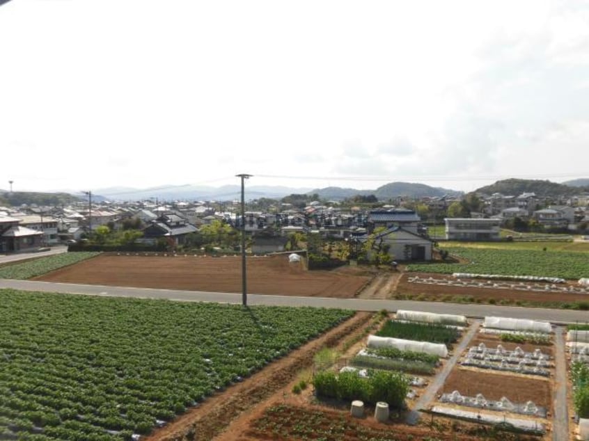 別部屋参考画像 コスモス　B棟